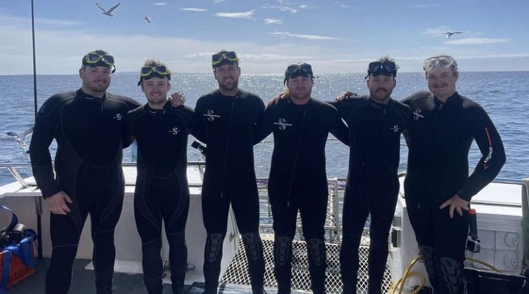 Jakkeb shark cage dive 2 768x427